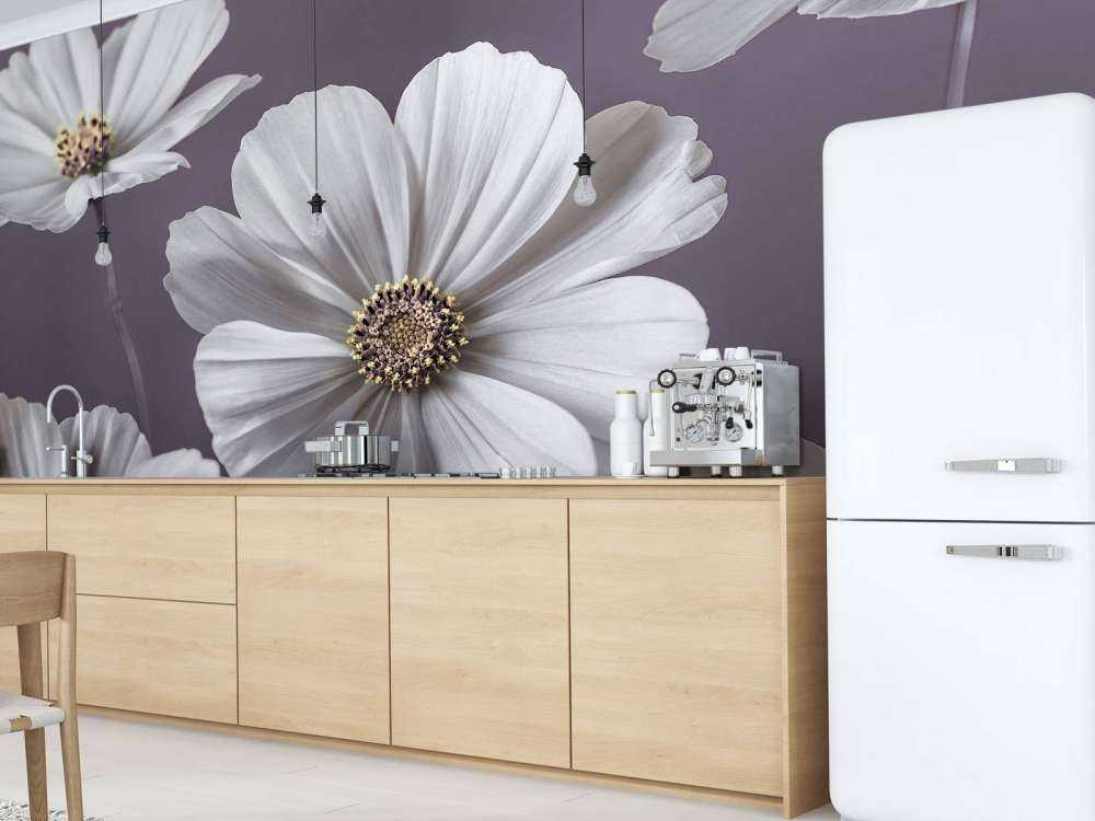 Kosmos Blumen