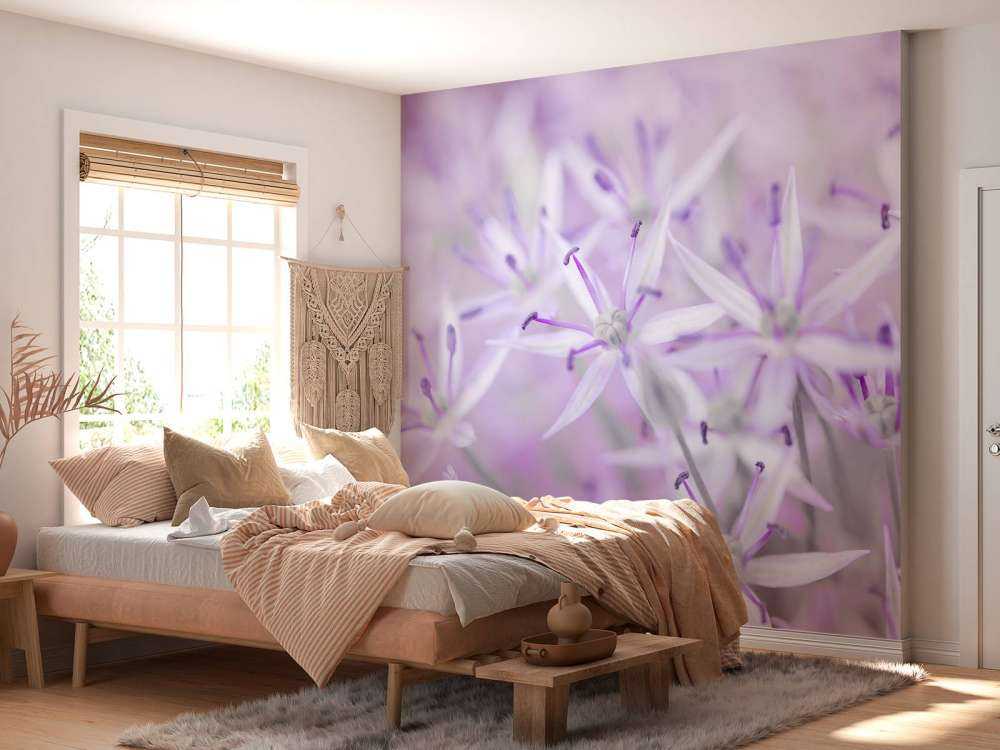 Nahaufnahme Allium-Blüten