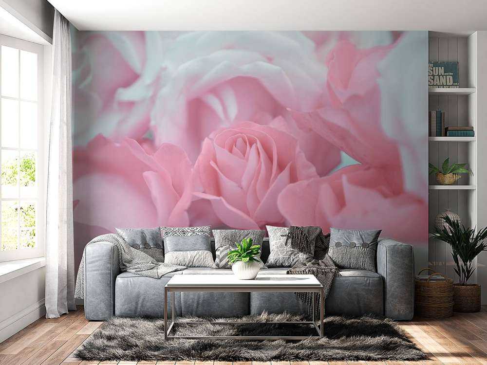 Rosenblüten