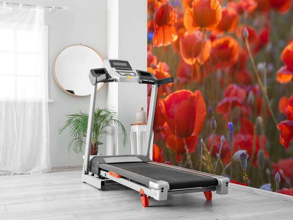 Mohn und Kornblumen