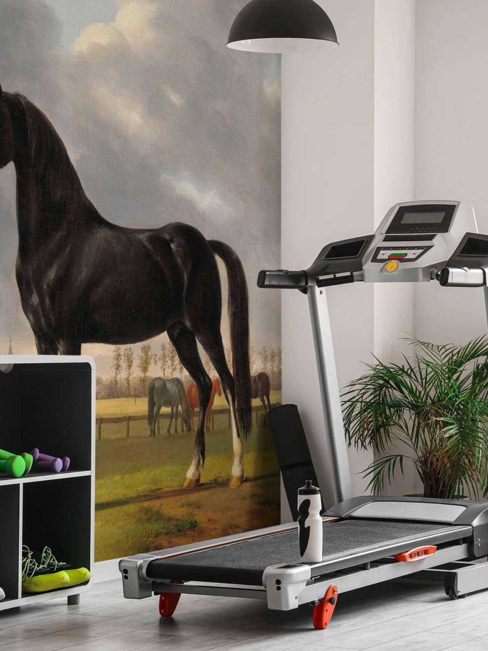 Fototapete Pferd. Die Hardlinerin De Vlugge