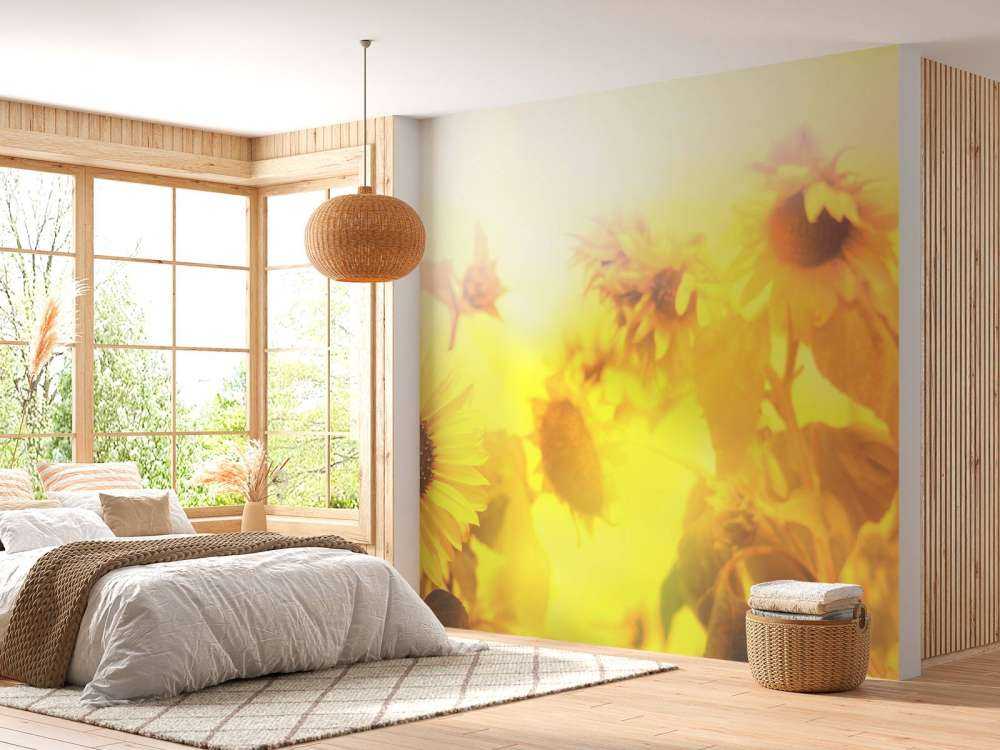 Sonnenblumen-Panorama