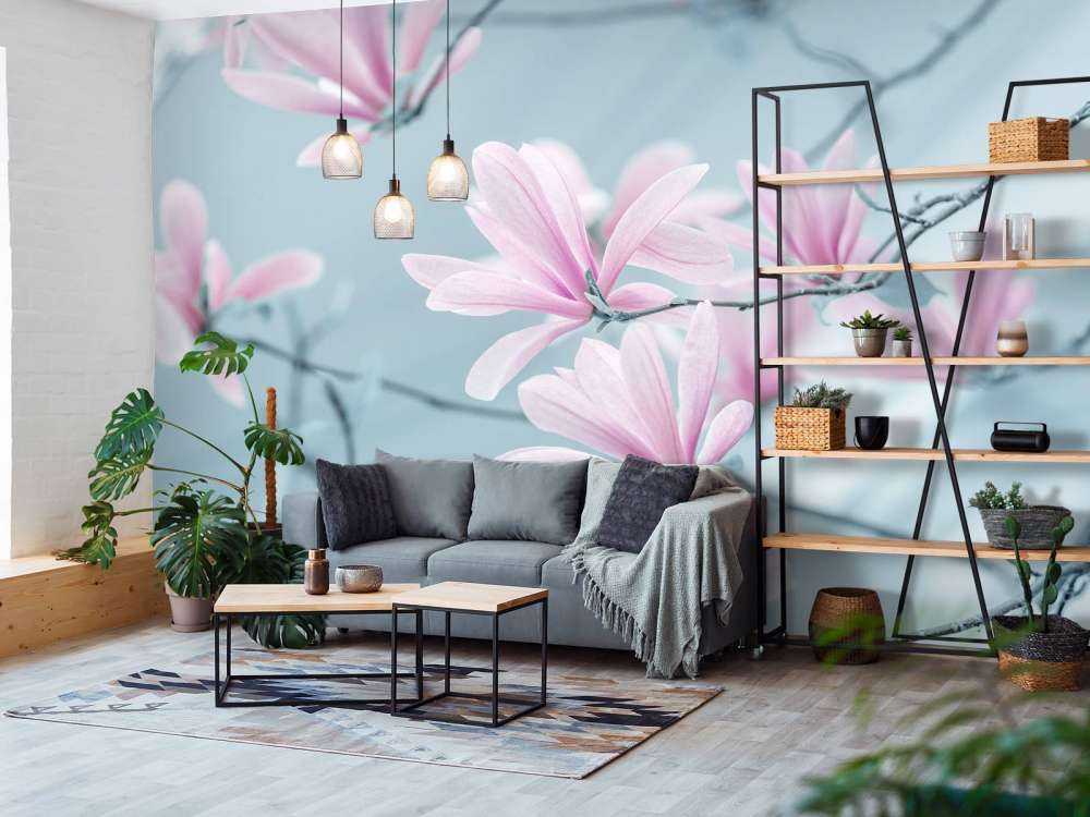 Magnolien Blumen