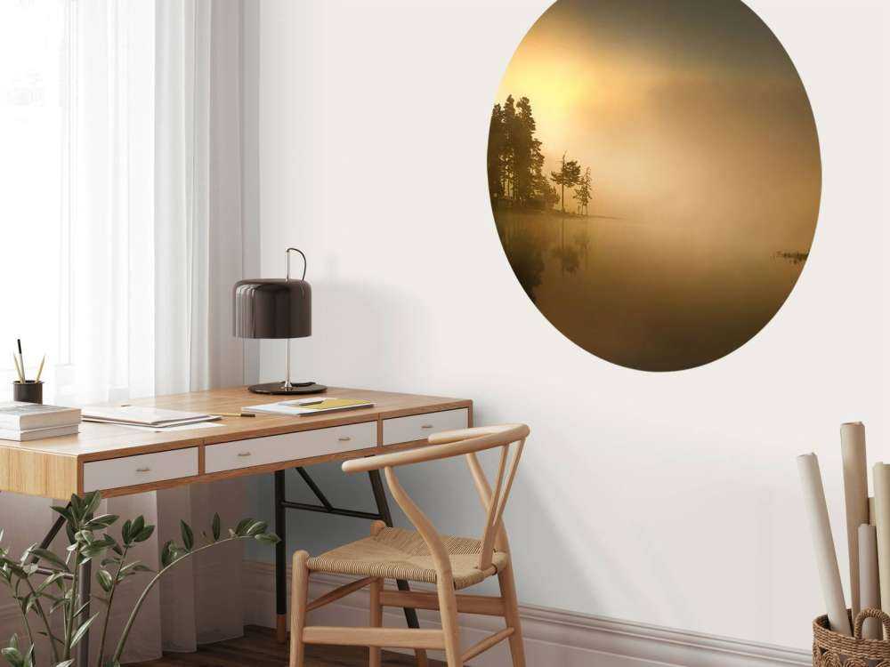 Island in the fog