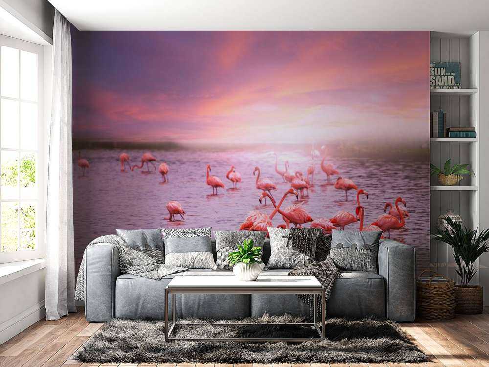 Flamingo mit Sonnenuntergang