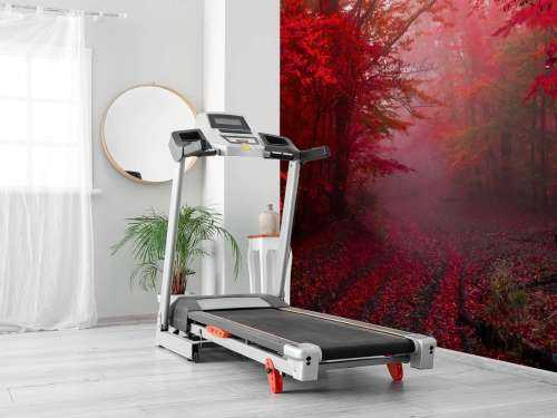 Roter Wald