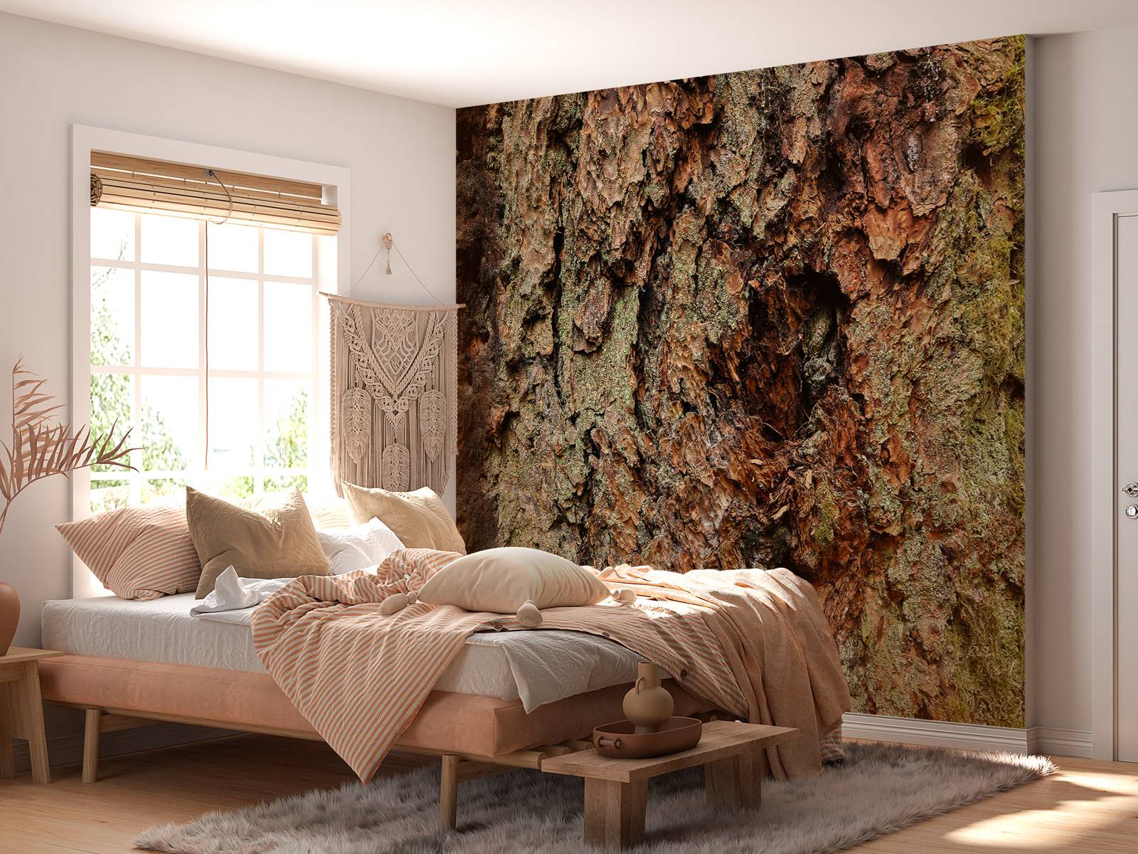 fototapete - baumrinde alter baum - fototapete