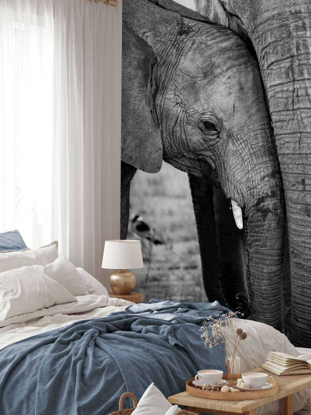 Kuschelnde Elefanten