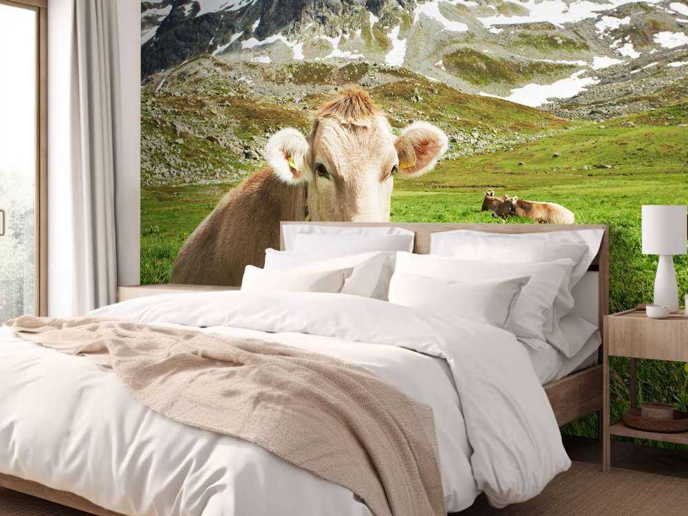 Österreichische Kuh