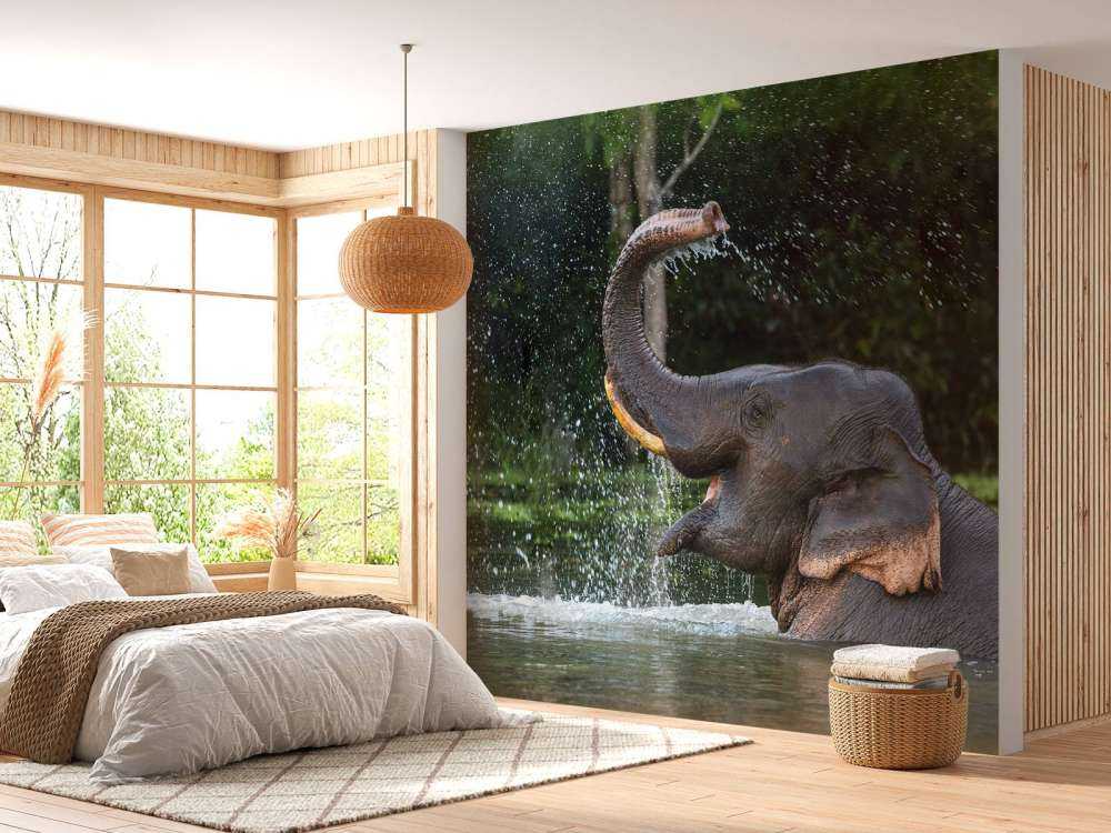 Elefant im Wasser