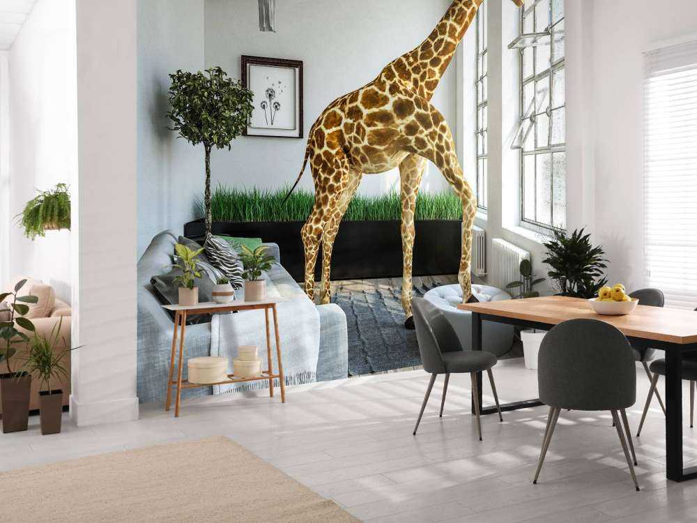 Guckende Giraffe