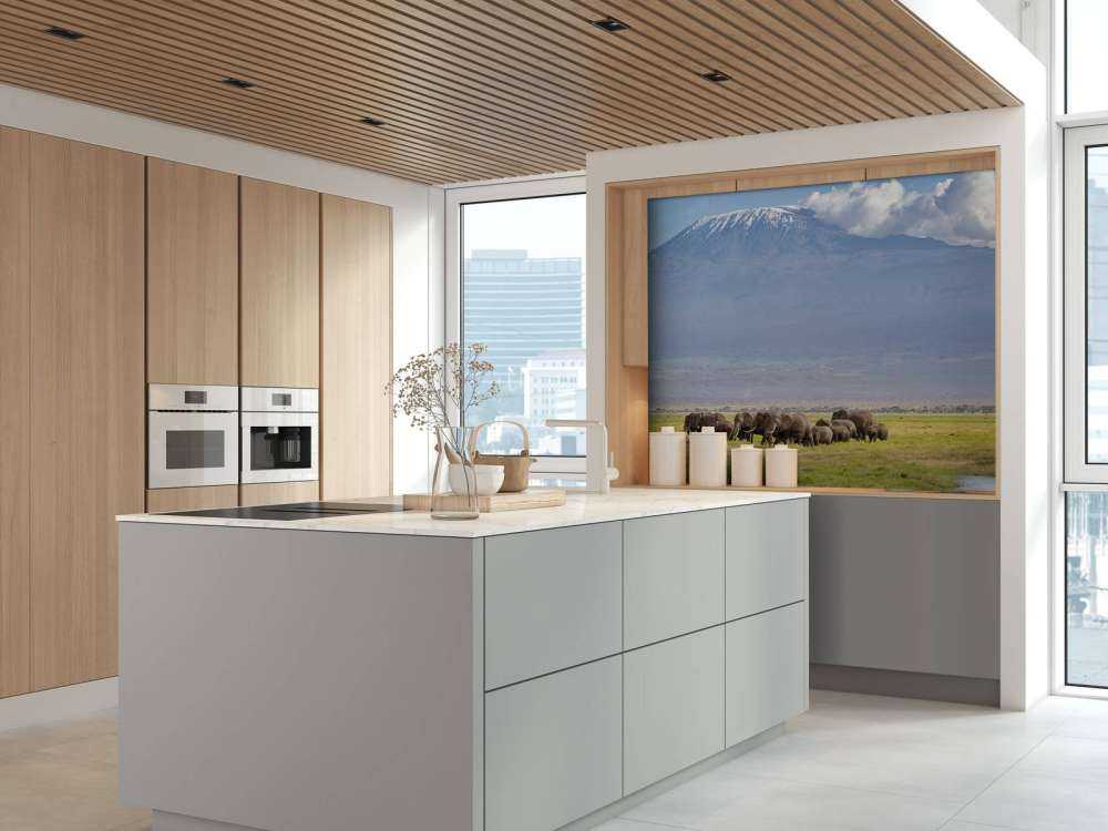 Afrikanische Elefanten