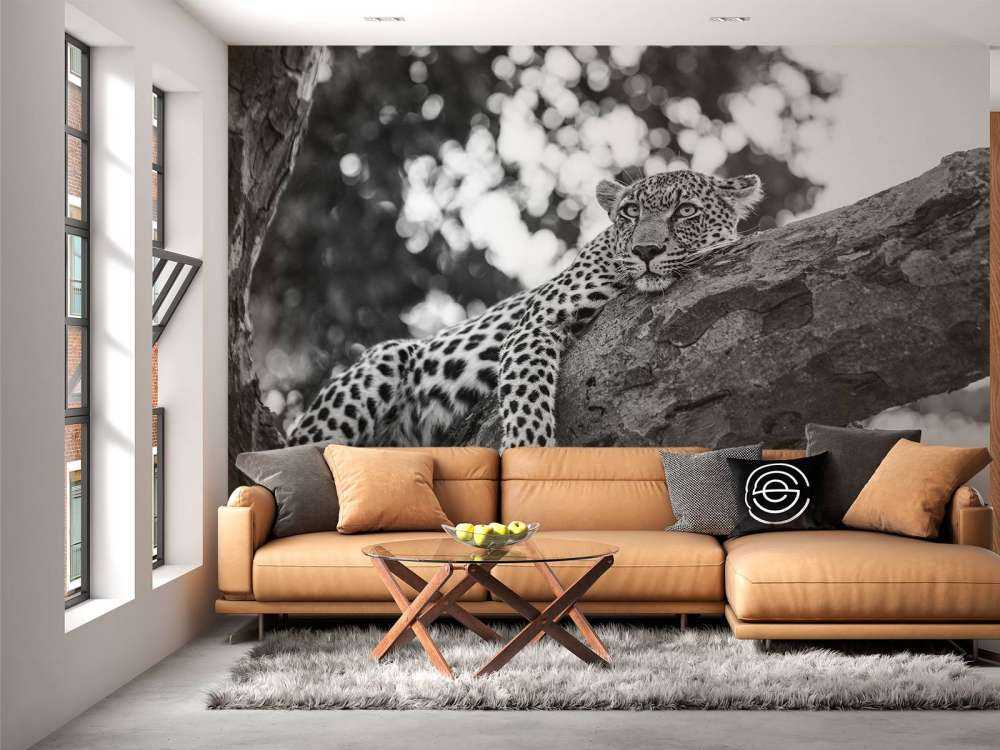 Ruhender Leopard