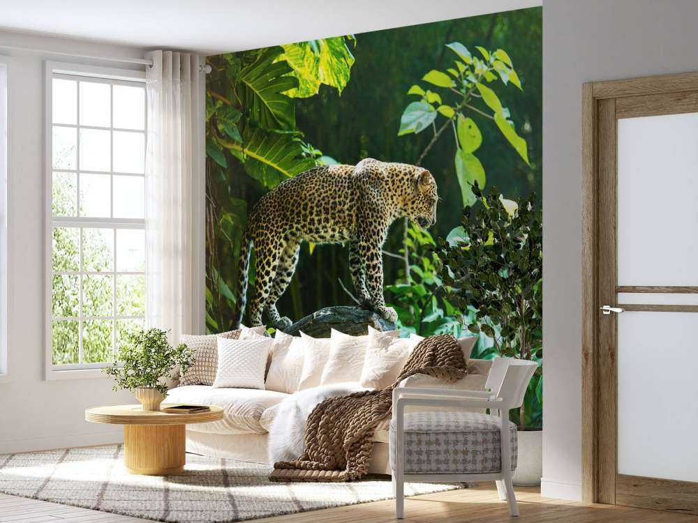 Leopard an einer Felswand