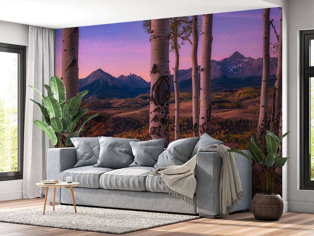 Aspen Frames