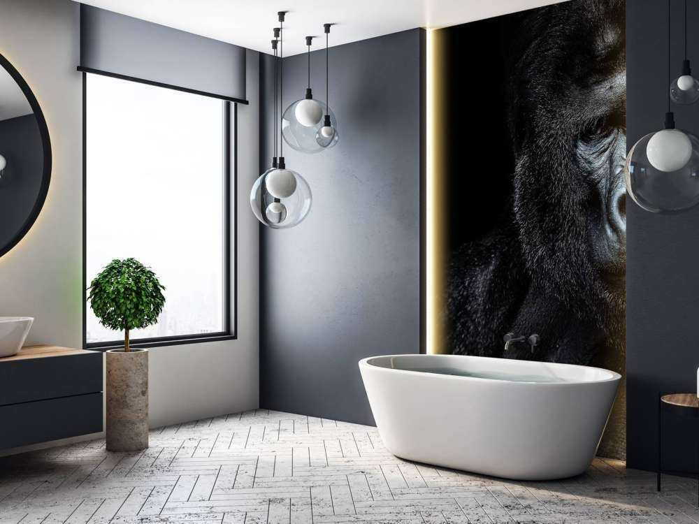 Gorilla