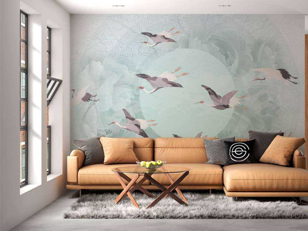 Serenity 5
