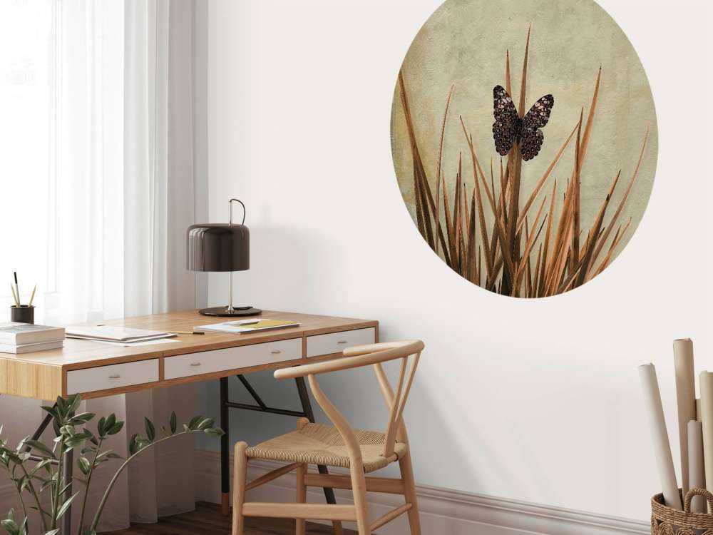 Schmetterling an einer alten Mauer
