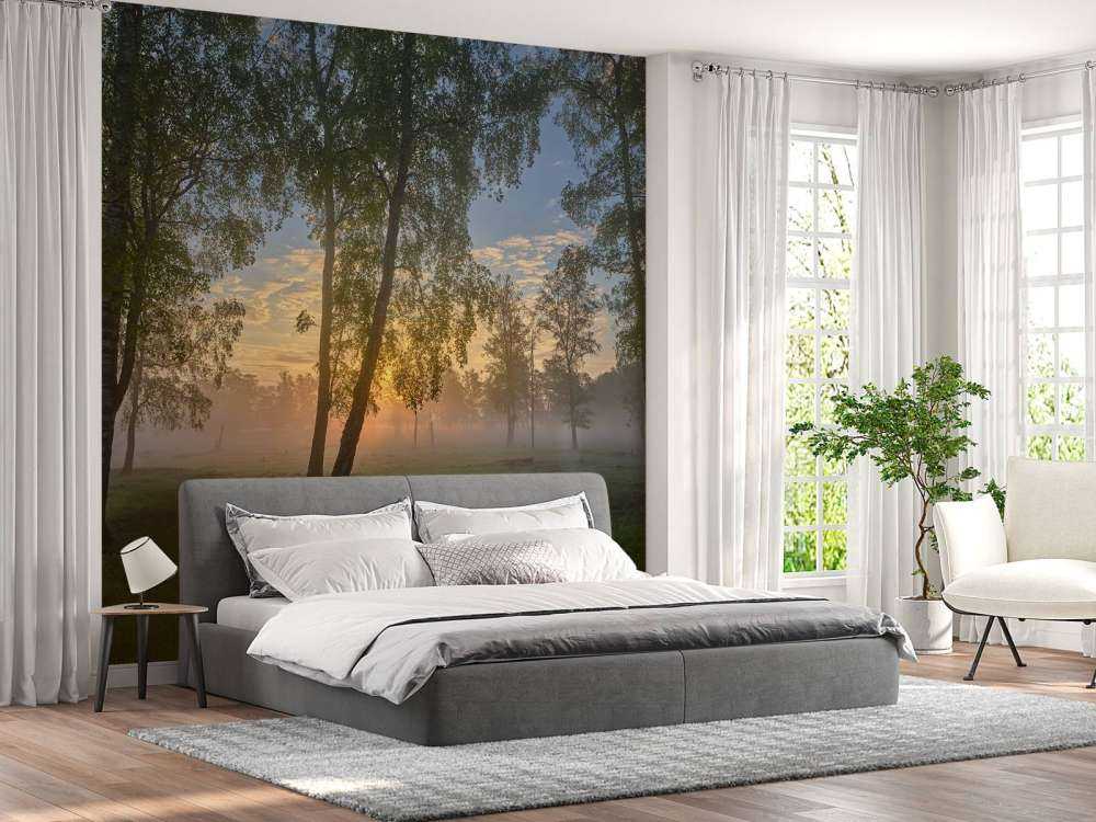 Sonnenaufgang bei den Birken
