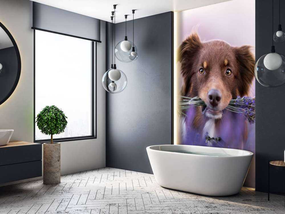 Hund mit Lavendel