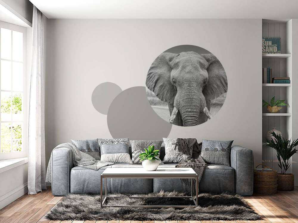 Elefant schwarz-weiß
