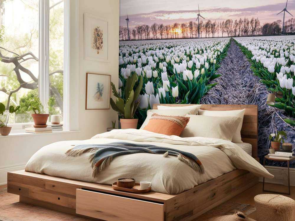 Feld mit weißen Tulpen