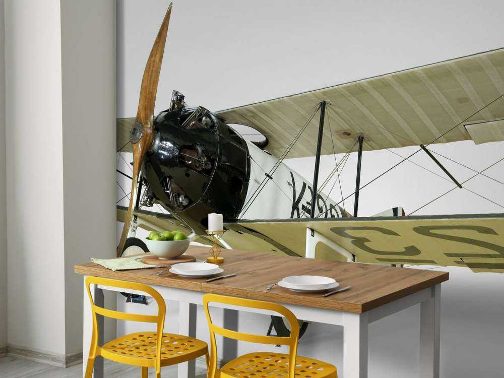 Altes Flugzeug FK 23 Bantam