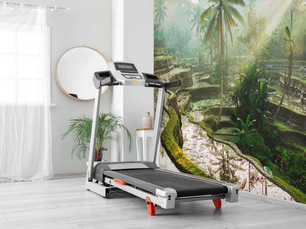 Reisfelder im Dschungel