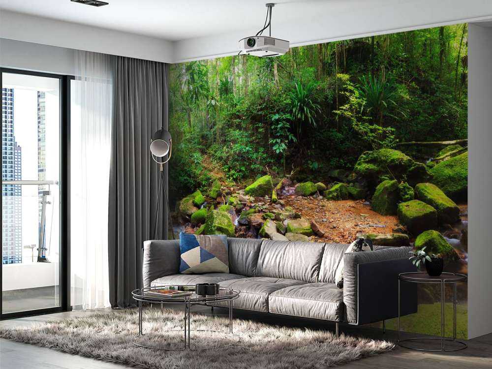 Regenwald auf Fototapete