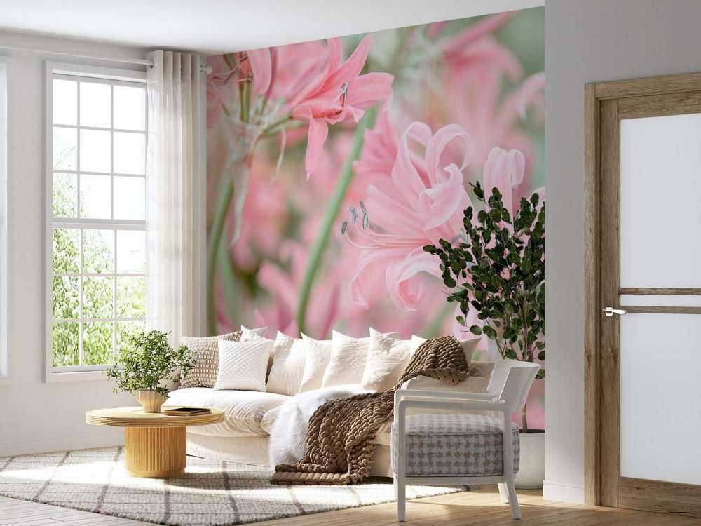 Nerine Blumen