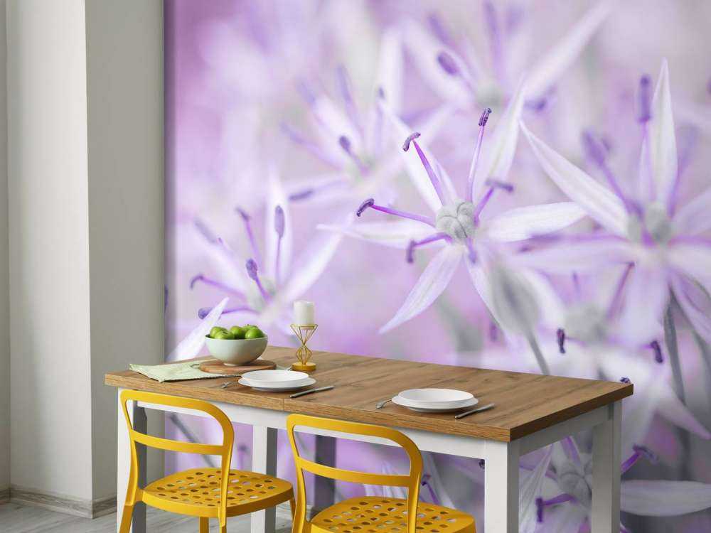 Nahaufnahme Allium-Blüten