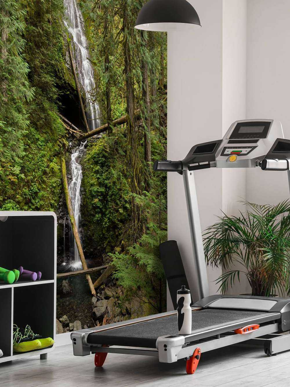 Wasserfall mit umgefallenen Bäumen