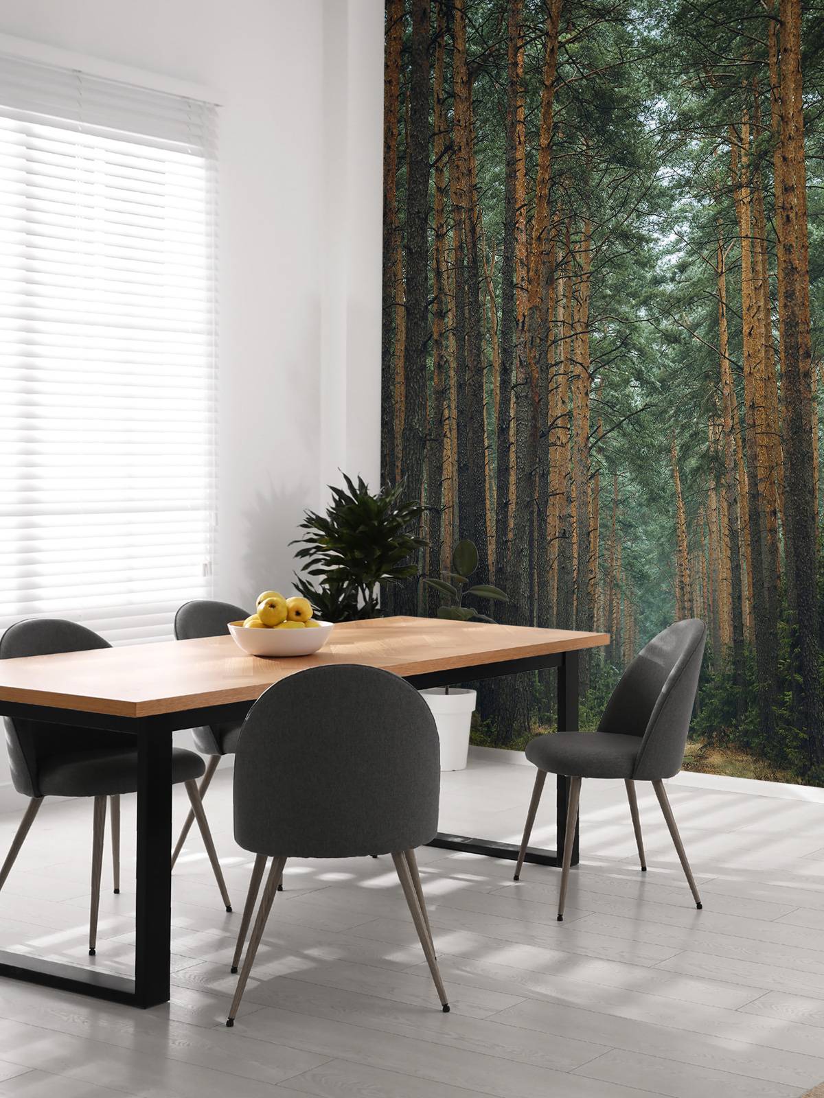 The Forest road 1