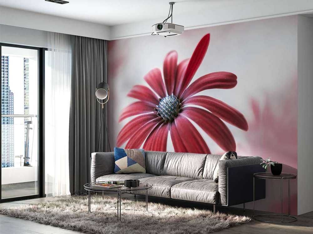 Red Daisy