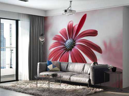 Red Daisy