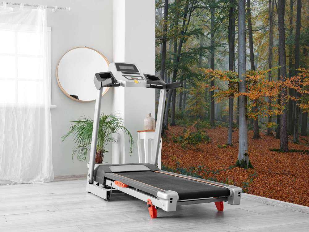 Herbstfarben im nebligen Wald