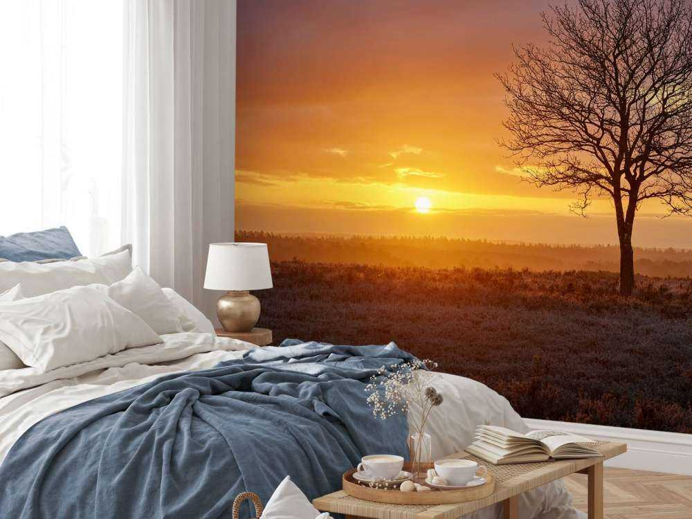 Farbenfroher Sonnenaufgang in der Heide