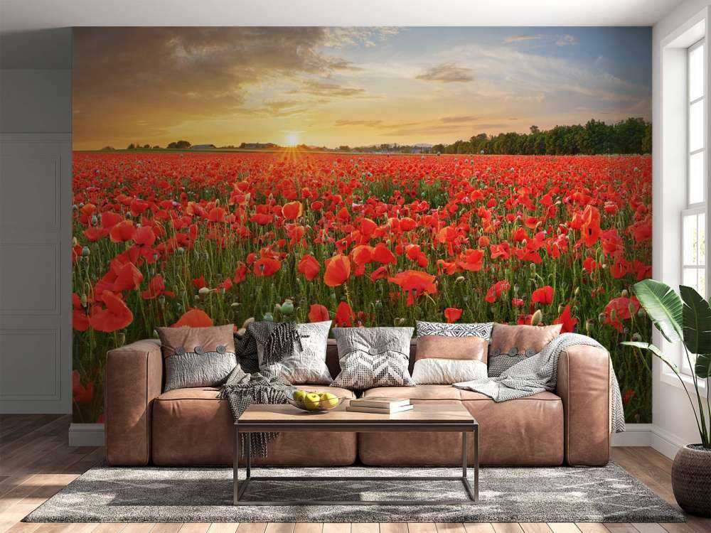 Sonnenuntergang mit Mohnblumen