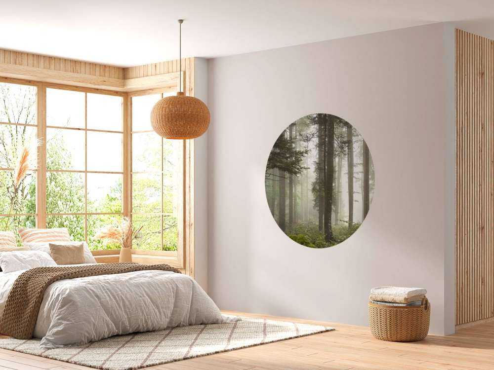 Schöne neblige Landschaft