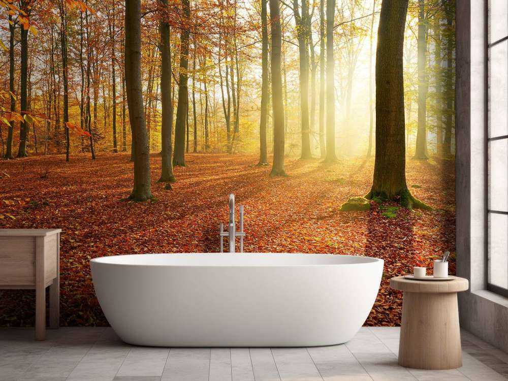 Herbstmorgen im Wald