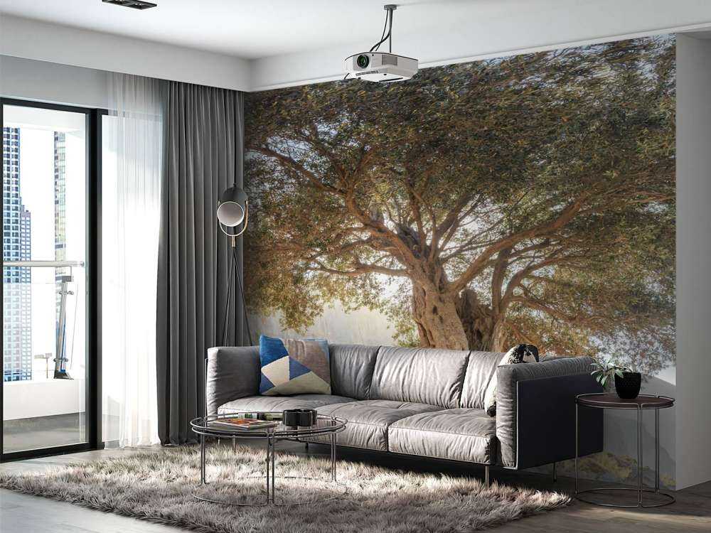 Alter Olivenbaum