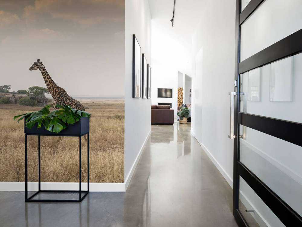 Giraffe in der Savanne