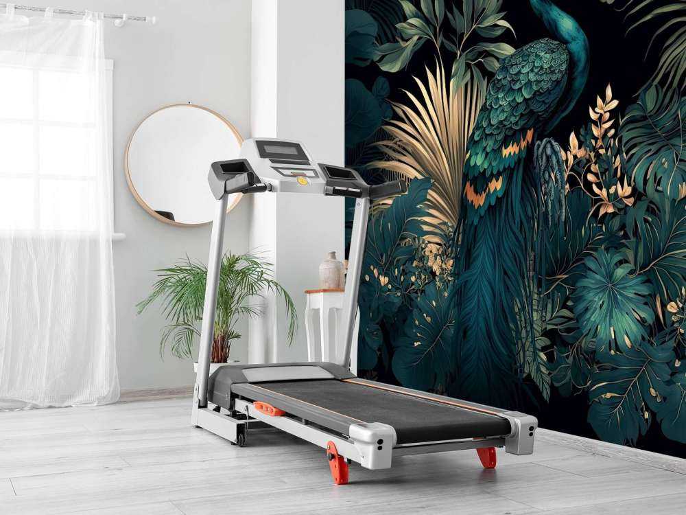 Nächtliche Schönheit des Pfauens