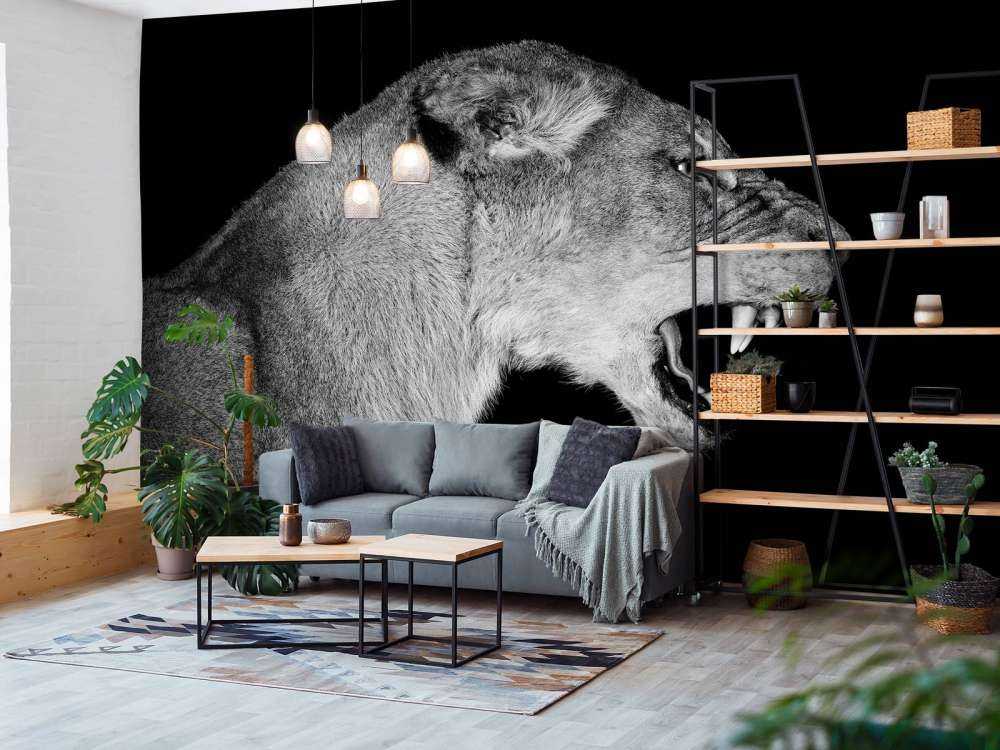 Löwin Seitenansicht schwarz
