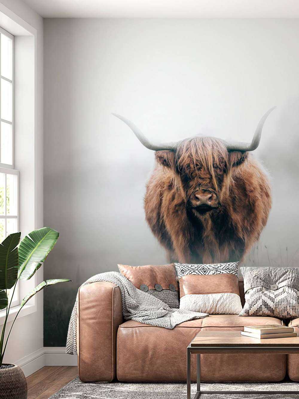 Schottischer Hochländer im dichten Nebel