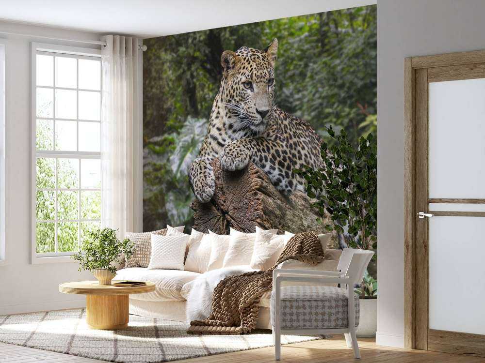 Leopard auf Baum