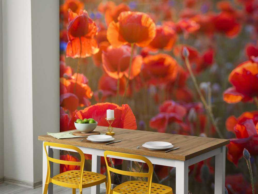 Mohn und Kornblumen