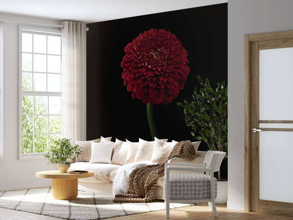 Rote Blume am Stiel