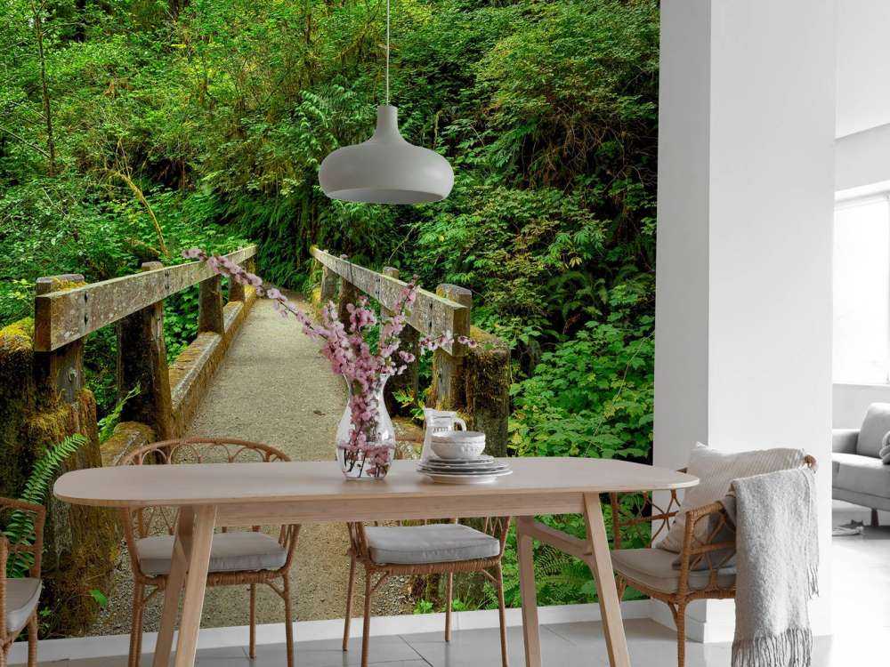 Brücke im Wald