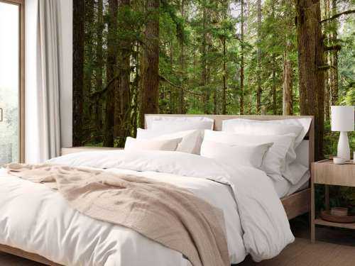 Wildwald